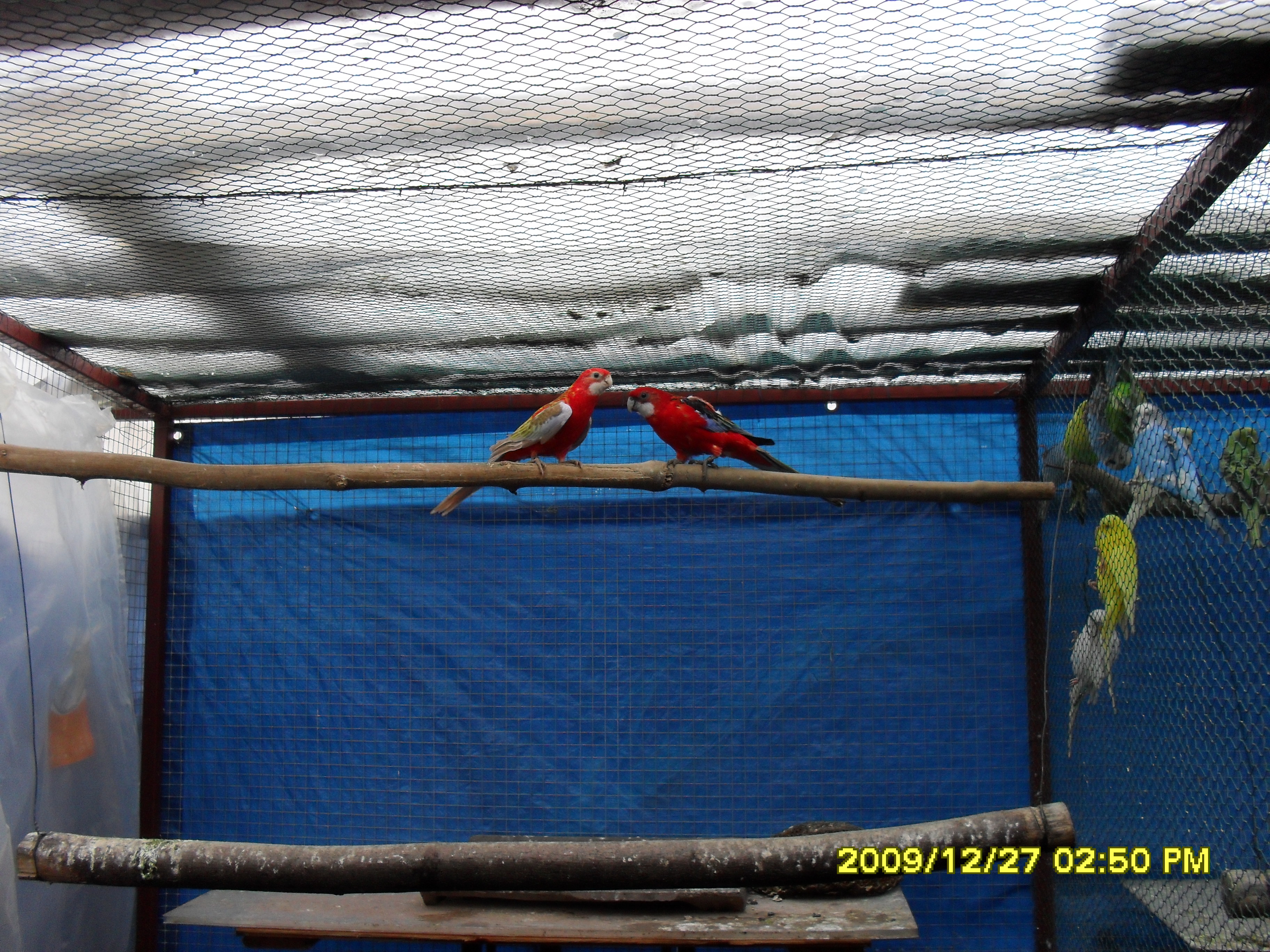 SDC10205.JPG
