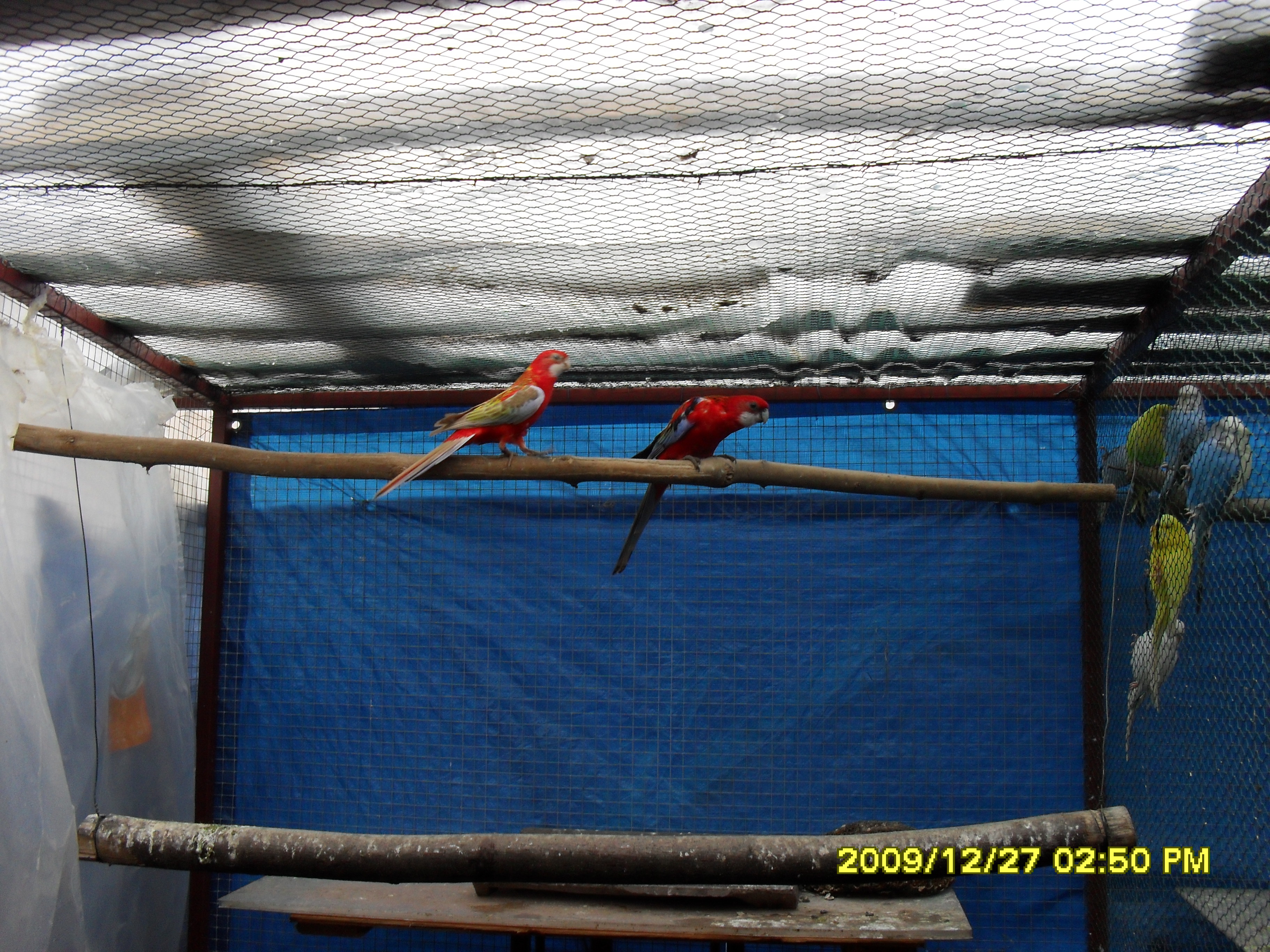 SDC10206.JPG