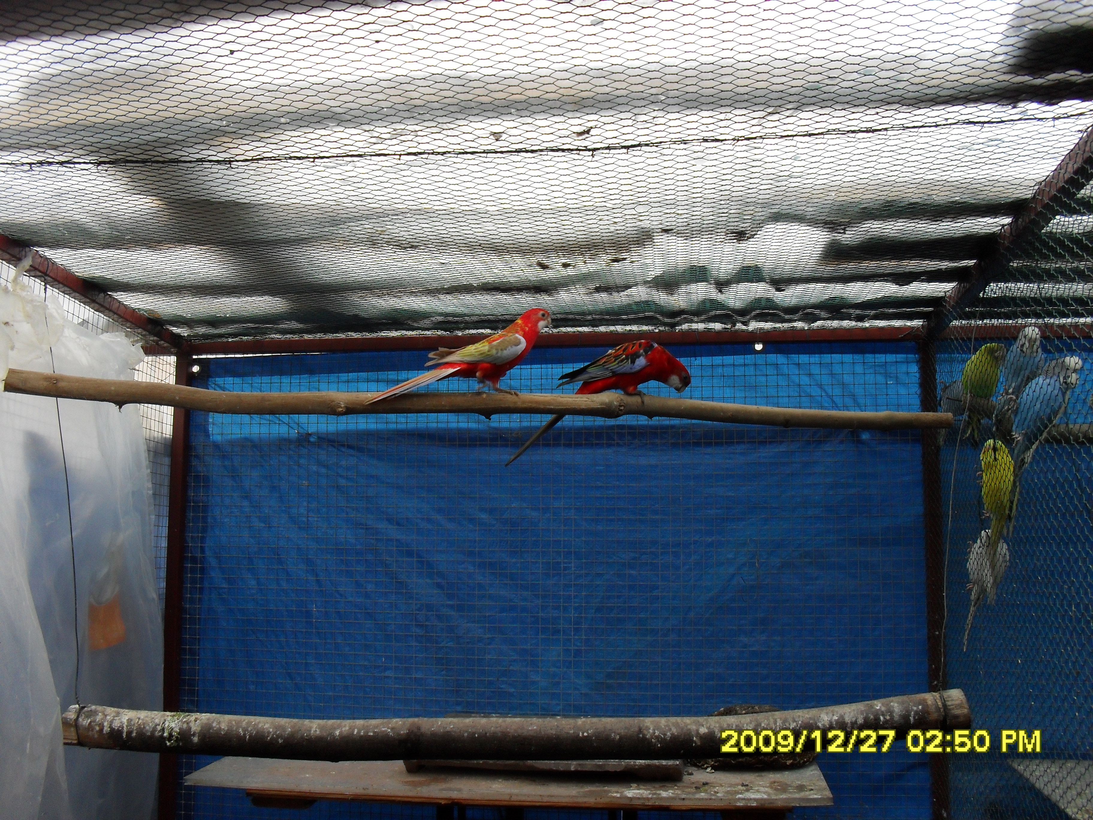 SDC10207.JPG